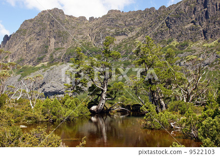 Cradle Mountain NP, Australia Cradle Mountain NP, Australia 9522103