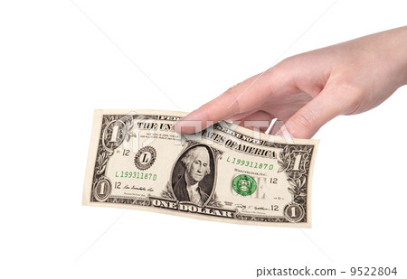 female hands with money isolated on a white 9522804