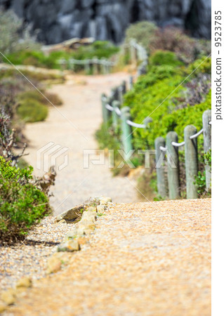 Pathway in the nature 9523785