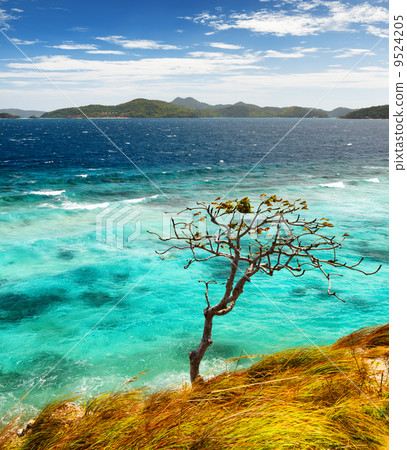 White sand beach. Malcapuya island, Philippines 9524205