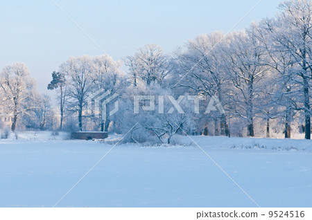 Cold winter day 9524516