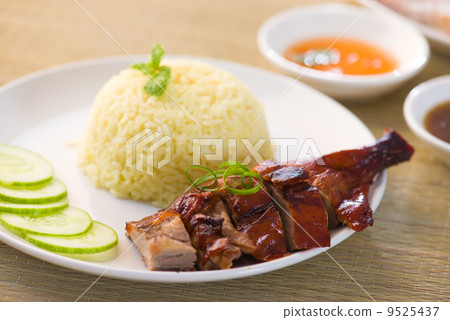 roast duck rice, popular asian food in singapore roast duck rice, popular asian food in singapore 9525437
