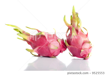 dragon fruits 9525553