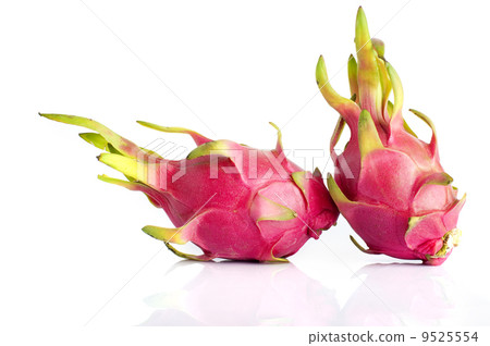 The Dragon Fruit 9525554
