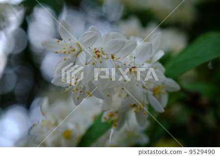 Unohana Unohana 9529490