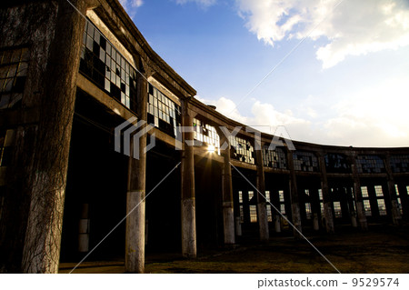 Bungo Forest Collection Bungo Forest Collection 9529574