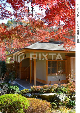 東山植物園在秋天 9529695