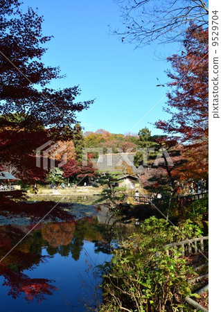 Higashiyama Botanical Garden in the fall Higashiyama Botanical Garden in the fall 9529704