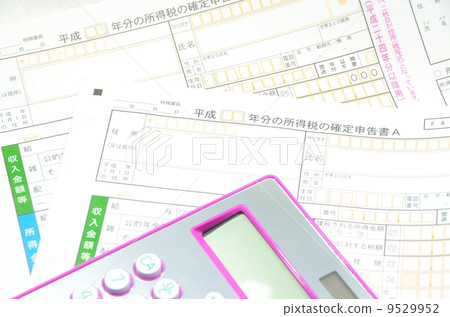 Final tax return form and calculator [horizontal] 9529952