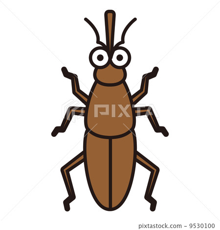 Rhinorrhea Rhinorrhea 9530100