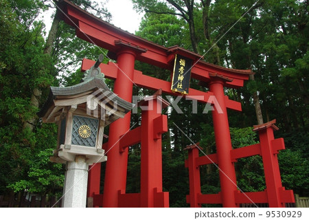 Torii of Yahiko Shrine 9530929