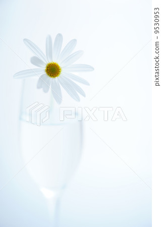 玻璃和鮮花 玻璃和鮮花 9530953