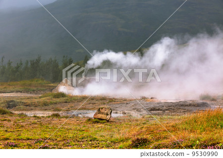 Smidur Geyser at Iceland Geysers Valley 9530990