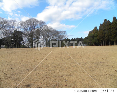昭和no Mori太陽露天場所在一個晴天在冬天 9531085
