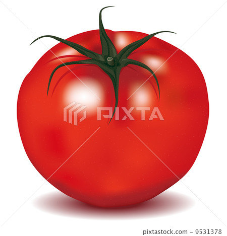 Tomatoes _ 01 Shadow 9531378