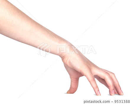 woman's hand touching or grabbing isolated woman's hand touching or grabbing isolated 9531388