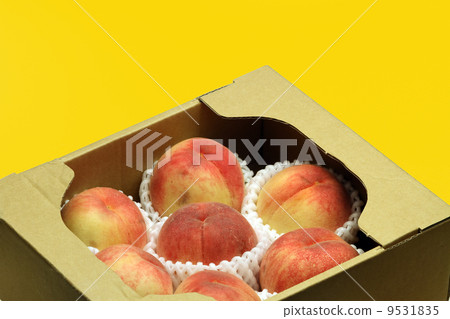 桃子 桃子 9531835