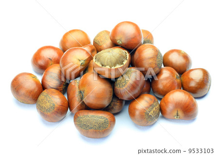 Tianjin Chestnut Tianjin Chestnut 9533103
