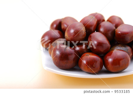 Tianjin Chestnut 9533185