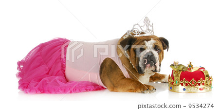 spoiled princess 9534274