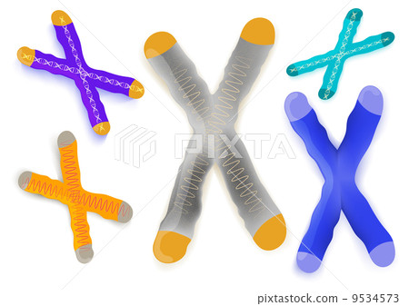 chromosome on a white background 9534573