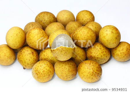 龍眼 龍眼 9534931