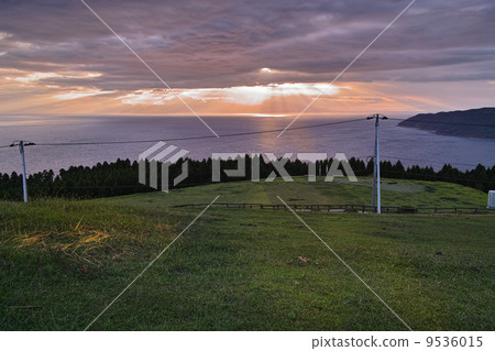 Toi Cape Hill Toi Cape Hill 9536015