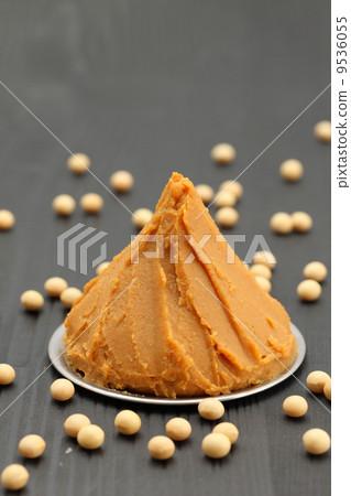 miso miso 9536055