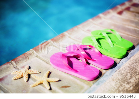 Still Life Pool 9536443
