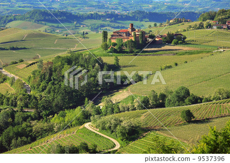 Green hills and vineyards of Piedmont, Italy. 9537396