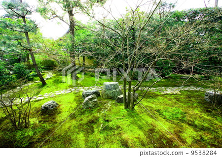Myoshinji Hoshozawa Hojo Garden Myoshinji Hoshozawa Hojo Garden 9538284