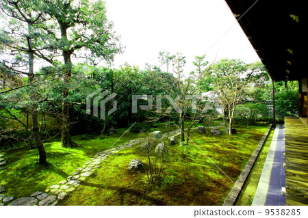 Myoshinji Hoshozawa Hojo Garden Myoshinji Hoshozawa Hojo Garden 9538285