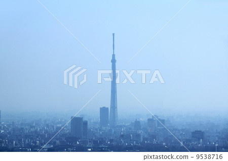 1月大廈·地標308東京天空樹早晨 9538716