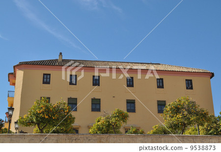 Spain Crown streets of Cordoba 9538873