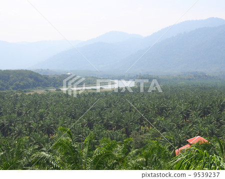 World Heritage Site Malaysia Lagon Valley 9539237