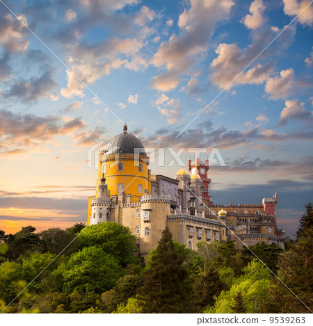 Fairy Palace against beautiful sky /  Panorama of  National Pala 9539263