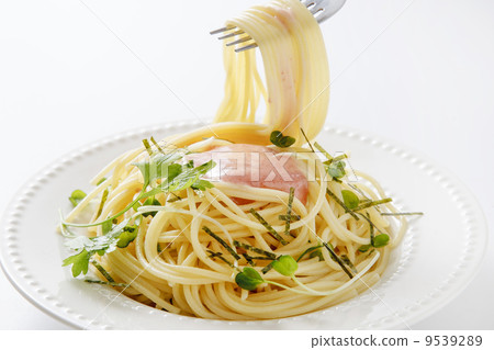 Spaghetti of Taraco 9539289