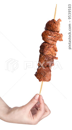 fresh grilled meat dishes with hand fresh grilled meat dishes with hand 9539583