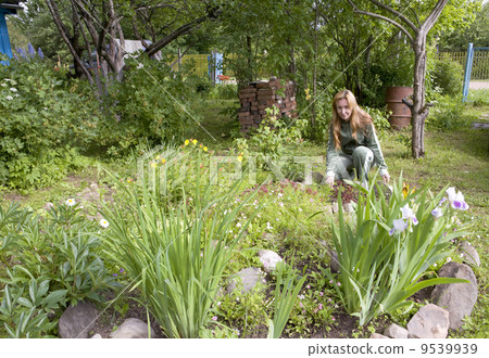 Young pretty woman looks after behind plants in the garden.. 9539939