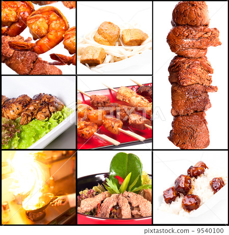 Collection of different meat dishes Collection of different meat dishes 9540100