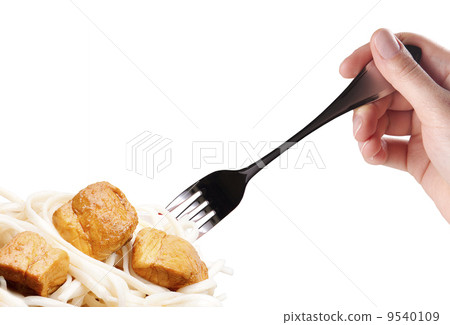 Noodles, meat, vegetables with hand and fork Noodles, meat, vegetables with hand and fork 9540109