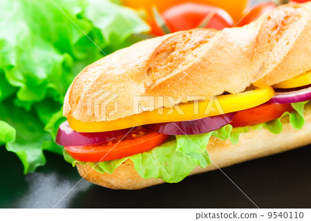Vegetarian baguette sandwich Vegetarian baguette sandwich 9540110