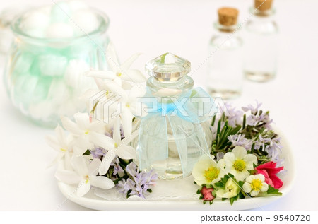 Beauty Beauty 9540720