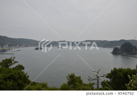 下田公園的風景 下田公園的風景 9540792