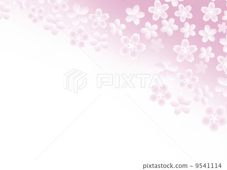 櫻花 櫻花 9541114