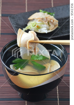 蛤蜊菜 蛤蜊菜 9541356