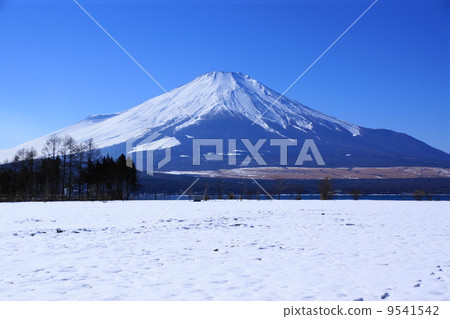 January scenery · Mt. Fuji 210 Yamanakako village 9541542