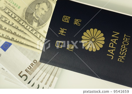 護照和美元的鈔票 9541659