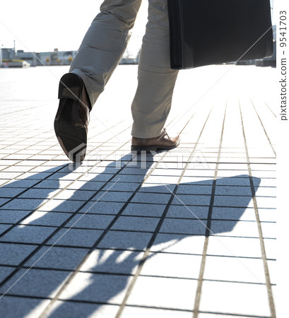 Businessman Businessman 9541703