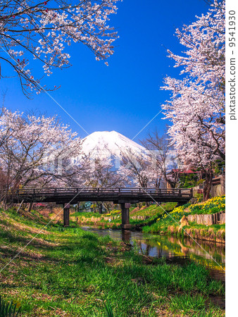 Spring of Oshino Spring of Oshino 9541930